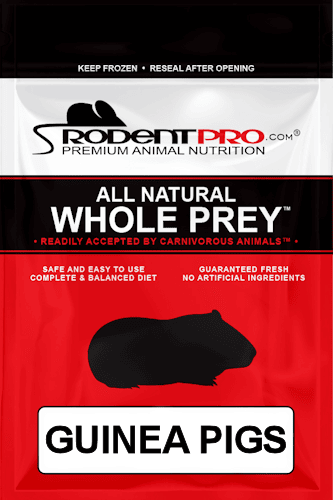 Image showcasing Frozen Feeders for Sale: Shop Online at RodentPro